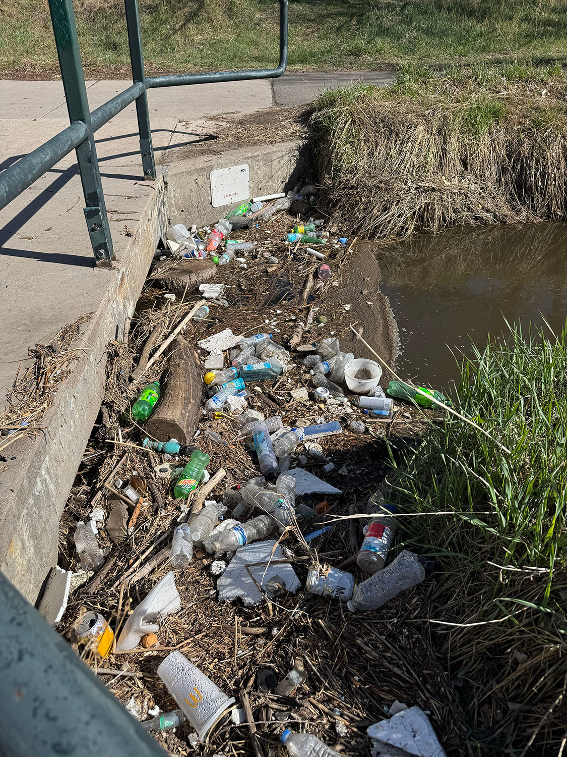 Trash in park before cleanup